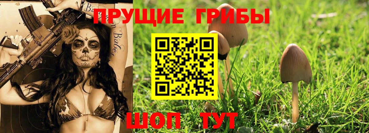 Галлюциногенные грибы Magic Shrooms  Вход с VPN  Галлюциногенные грибы Psilocybe  Сорочинск 