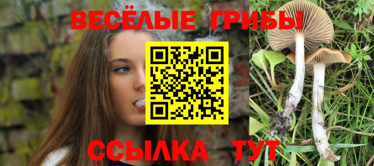 Псилоцибиновые грибы прущие грибы Сорочинск